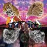 The Underachievers - Cellar Door: Terminus Ut Exordium (2014)