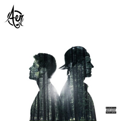 AER AER 2014