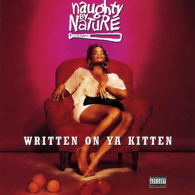 Naughty By Nature - Written On Ya Kitten (1993) (CDM) [FLAC]