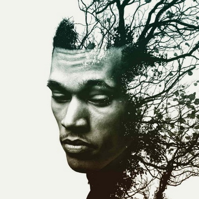 Trip Lee Rise 2014