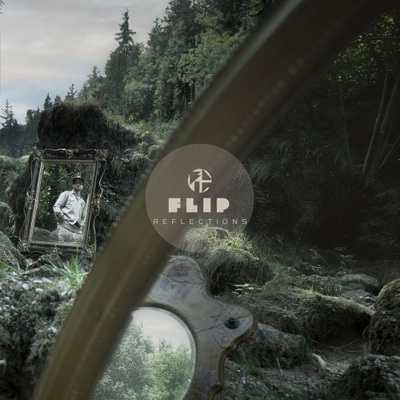 Flip Reflections 2015
