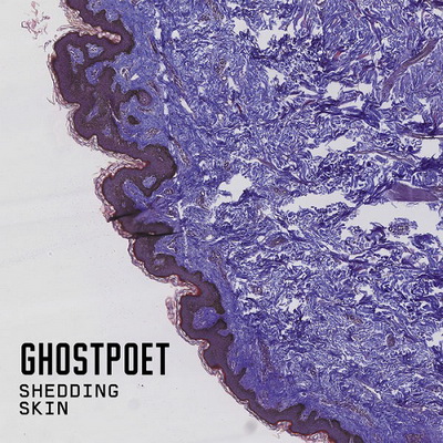 Ghostpoet - Shedding Skin (2015) [FLAC + 320]