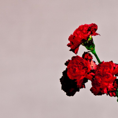 John Legend Love in the Future Deluxe Edition 2013 Flac