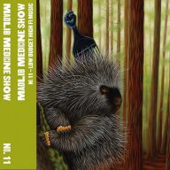 Madlib – Medicine Show No. 11 Low Budget High Fi Music 2011