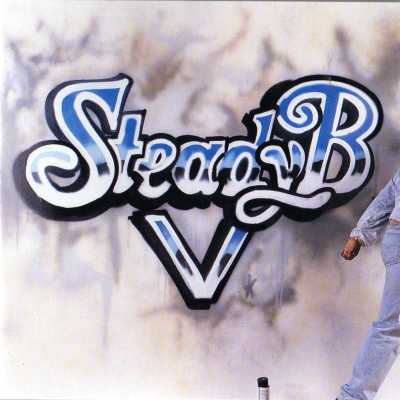 Steady B 1991 V