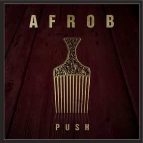 Afrob 2014 Push
