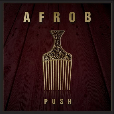 Afrob 2014 Push
