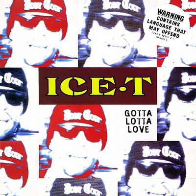 Ice T 1994 Gotta Lotta Love CD Single