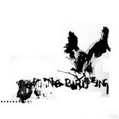 No Bird Sing No Bird Sing 2009