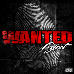 Various Artists - Wanted Project (2015)