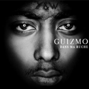 Guizmo Dans Ma Ruche Edition Limitee 2014