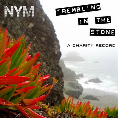 Nym - Trembling In The Stone (2013) [FLAC+320]