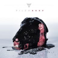 Pilz Beef 2015