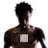 Tricky - False Idols (2013) [FLAC] [Studio !K7]