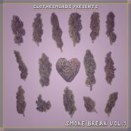 VA SmokeBreak Vol. 1 2012
