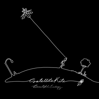 Beautiful Eulogy Satellite Kite 2012