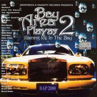 VA - Bay Area Playas 2: Raining Ice In The Bay (2CD) (2000) [FLAC]