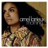 Amel Larrieux - Morning (2006)