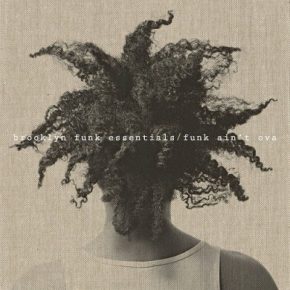 Brooklyn Funk Essentials - Funk Ain’t Ova (2015) [FLAC]