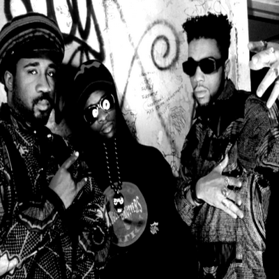 Jungle Brothers Discography 15CD 1988 2005
