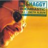 Shaggy - Boombastic (1995)