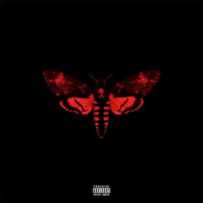 Lil Wayne 2013 I Am Not a Human Being II
