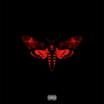 Lil Wayne 2013 I Am Not a Human Being II