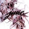 HAK (Ratking) - JUNE (2016) [CD] [FLAC] [XL Recordings]