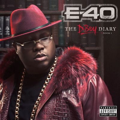 E 40 The D Boy Diary Book 1