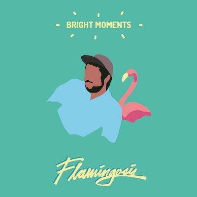 Flamingosis 2016 Bright Moments