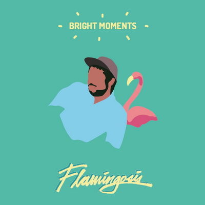 Flamingosis - Bright Moments (2016) [WEB] [FLAC] [Not On Label‎]