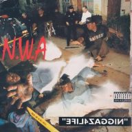 NWA 1991 Niggaz4life Vinyl