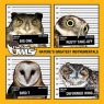 The Four Owls - Nature's Greatest Instrumentals (2016) [WEB] [FLAC] [High Focus]