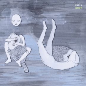 Bsd.u 2017 Pook