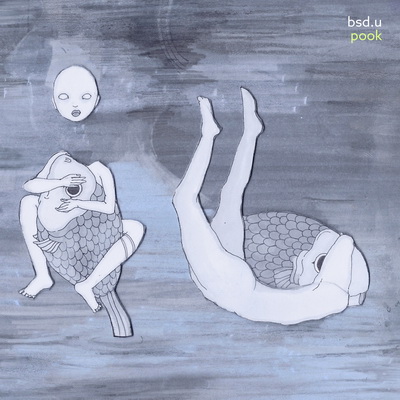 Bsd.u 2017 Pook
