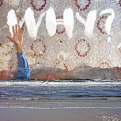 WHY - Moh Lheans (2017) [CD] [FLAC] [Joyful Noise]