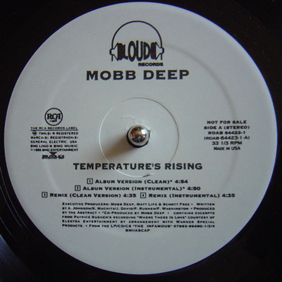 Mobb Deep - Temperature's Rising / Still Shinin' (1995) (Promo) [Vinyl] [FLAC] [24-96]
