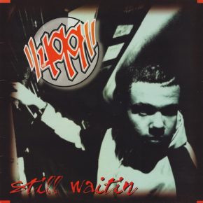 499 1995 Still Waitin Vinyl