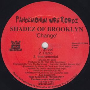 Shadez Of Brooklyn - Change bw When It Rains It (Pours Survival Warz!) (1996) [Vinyl] [FLAC] [24-96]