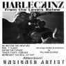 Harleckinz - From The Levels Below (1995) [Vinyl] [FLAC] [24-96]