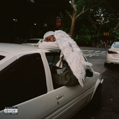 Blood Orange 2018 Negro Swan