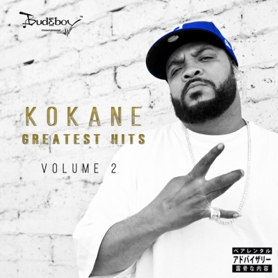 Kokane 2019 Greatest Hits Vol 2 320