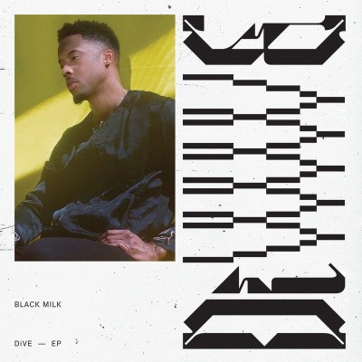 Black Milk 2019 DiVE FLAC