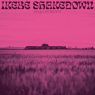 Ikebe Shakedown - Kings Left Behind (2019) [FLAC]