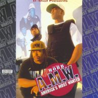 AMW 1995 The Real Mobb 320