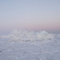 Billy Woods 2019 Terror Management FLAC