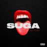 Megan Thee Stallion - Suga (2020) [FLAC]