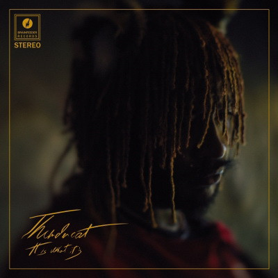 Thundercat 2020 It Is What It Is FLAC 24 441