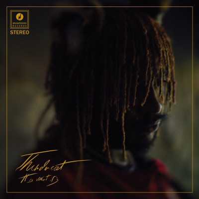 Thundercat - It Is What It Is (2020) [FLAC] [24-44.1] [16-44.1]