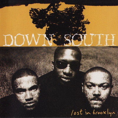 Down South - Lost In Brooklyn (1994) [FLAC]